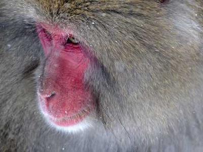 Book Club Questions for Children of Ever After by Avery Yearwood