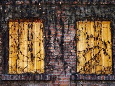 Bookstore Revival: A Nostalgic Journey Back to the Love of Reading