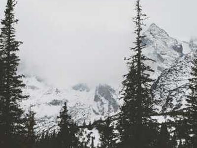 Book Club Questions for Children of Ever After by Avery Yearwood