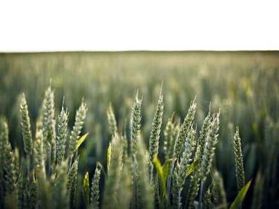 Editorial Content for Trust No One 