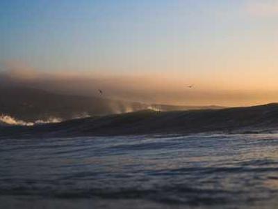 Editorial Content for Cross and Sampson: An Alex Cross and John Sampson Thriller