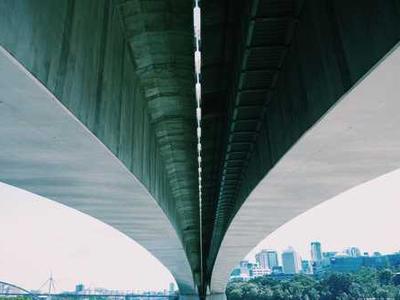 Book Club Questions for Children of Ever After by Avery Yearwood