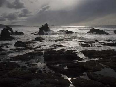 Bookstore Revival: A Nostalgic Journey Back to the Love of Reading