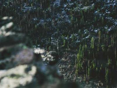 Should you read YA book, Murder on a Summer Break?